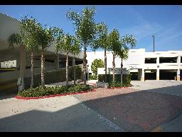 14500 Roscoe Blvd Los Angeles CA PAN parking-12