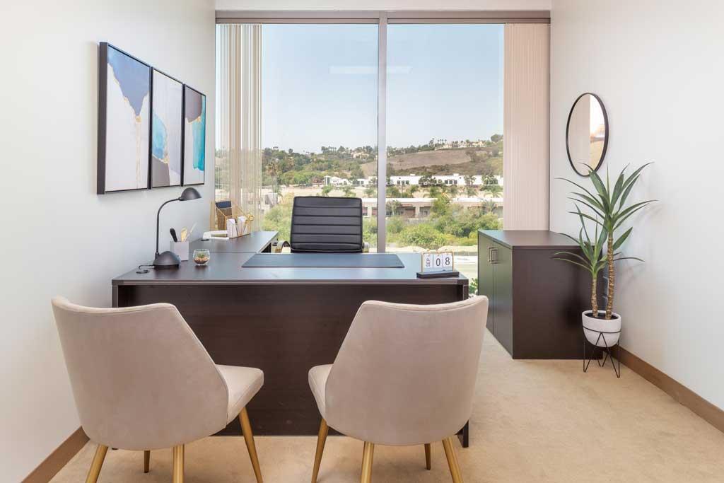 27201 Puerta Real Mission Viejo CA Windowed Office