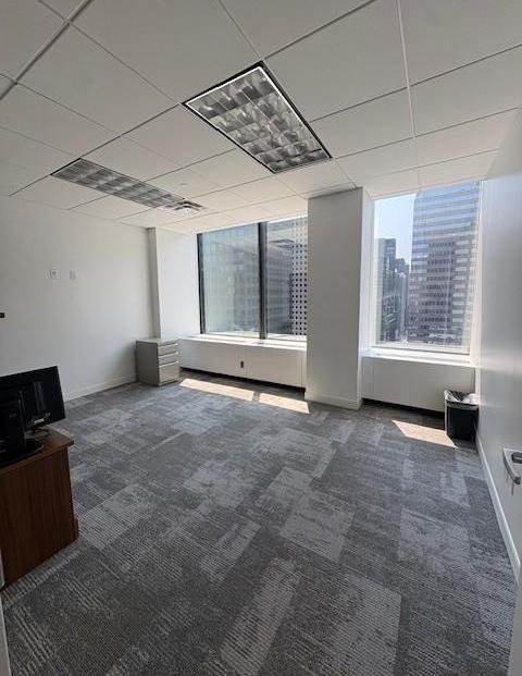 Executive/Partner Office